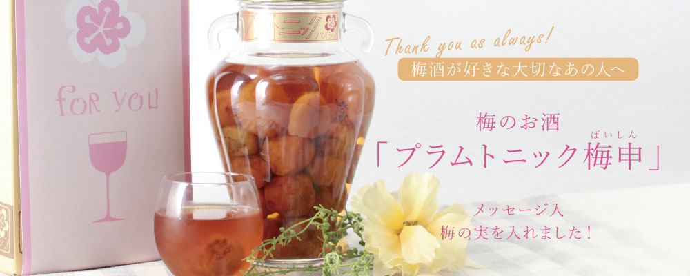 大切な人へありがとうプラムトニック梅申バナー.jpg