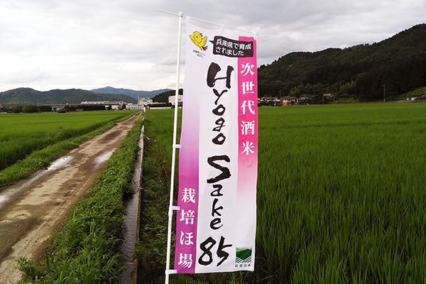 丙午（ひのえのうま）・干支ラベル 1800ml