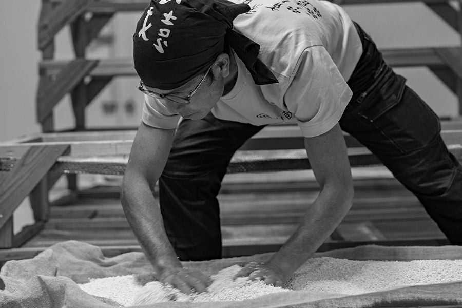 鼓春楽（こしゅんらく）大吟醸無濾過生原酒 春限定 出品酒 華やかな香りと味わい