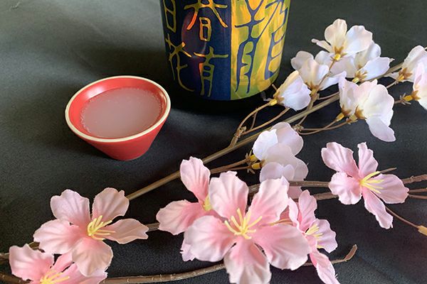 【小鼓】青陽(せいよう) 720ml (旧：青龍)